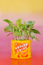 Load image into Gallery viewer, Ceramic Vase: Chip Bag