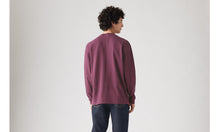 Load image into Gallery viewer, Levis Garment-Dyed Long Sleeve in Grape