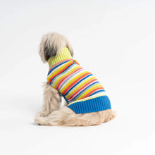 Load image into Gallery viewer, Verloop Knit Dog Sweater