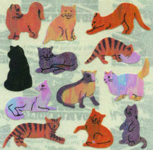 Load image into Gallery viewer, Tiger Town Sticker Club: Sticker Squares