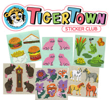 Load image into Gallery viewer, Tiger Town Sticker Club: Sticker Squares