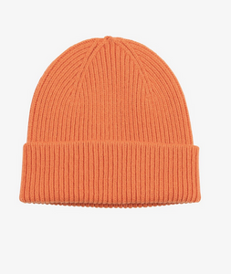 Merino Wool Beanie by Colorful Standard (20+ Colours)