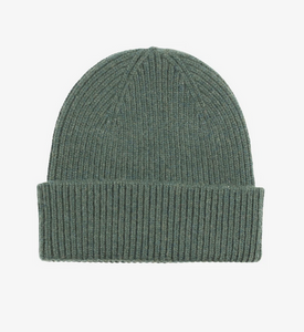 Merino Wool Beanie by Colorful Standard (20+ Colours)