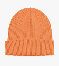 Load image into Gallery viewer, Merino Wool Beanie by Colorful Standard (20+ Colours)
