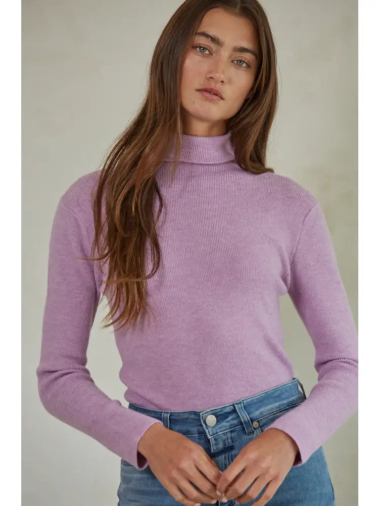Knit Sweater Turtleneck