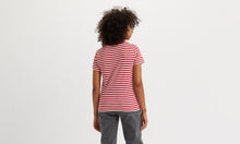 Load image into Gallery viewer, The North Stripe Tee
