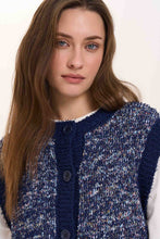 Load image into Gallery viewer, Grover Knit Vest

