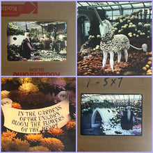 Load image into Gallery viewer, 1987 Gage Park Mum Show Tote
