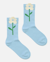 Load image into Gallery viewer, PH Socks
