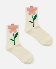Load image into Gallery viewer, PH Socks
