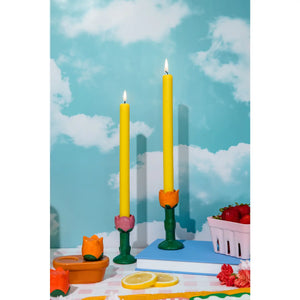 Tulip Candle Holders (set of 2)