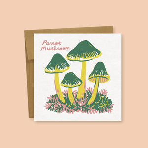 Phoebe Wahl Greeting Cards