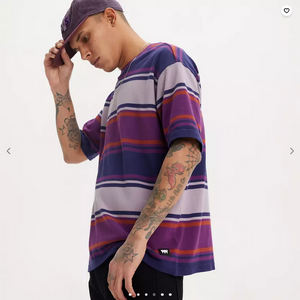 Levis Skate Tee in Grape Stripe