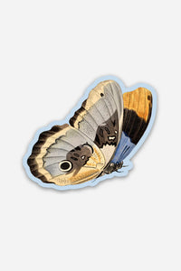Unconcerned Butterfly Sticker