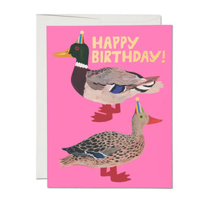Birthday Cards
