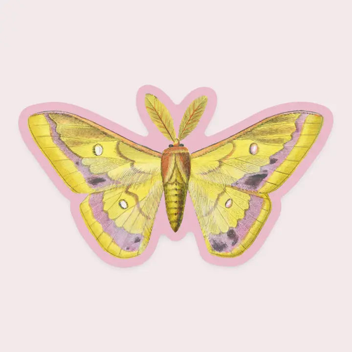 Magical Moth Sticker