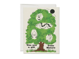 Everyday/ Friendship Cards