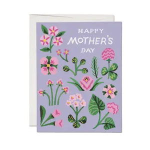 Mother Cards