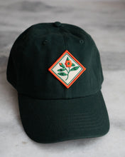 Load image into Gallery viewer, Stay Home Club Dad Hats
