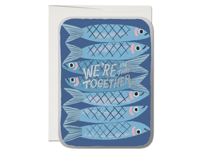 Everyday/ Friendship Cards