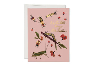 Everyday/ Friendship Cards