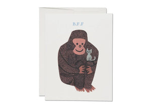 Everyday/ Friendship Cards