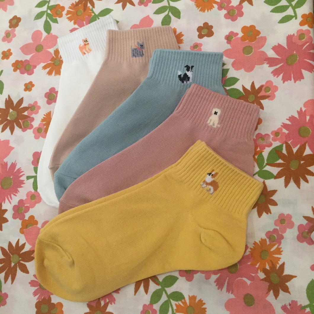 Dog Socks
