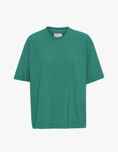 Oversized Tshirt by Colorful Standard