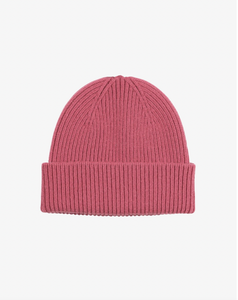 Merino Wool Beanie by Colorful Standard (20+ Colours)