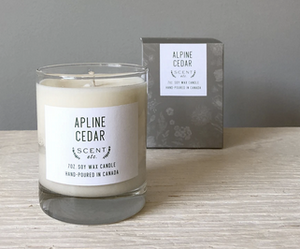 Candle: Alpine Cedar