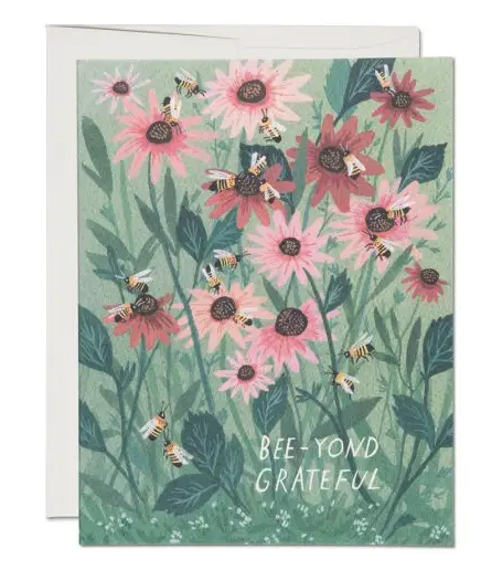 Thank You Cards