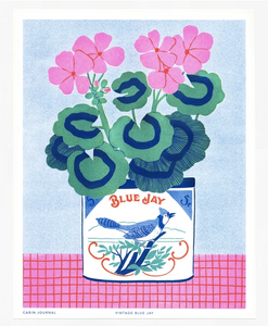 Blue Jay Print