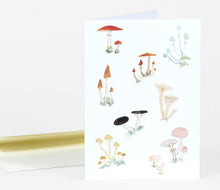 Load image into Gallery viewer, Everyday/ Friendship Cards
