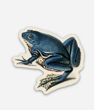Frog Sticker