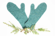 Load image into Gallery viewer, Handmade Wool Mittens by Julie Sinden
