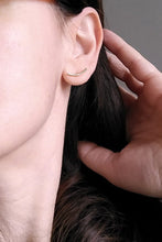 Load image into Gallery viewer, Portion Earrings by SewaSong
