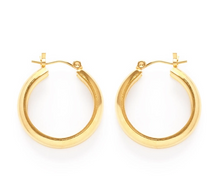 Load image into Gallery viewer, Lola Hoops
