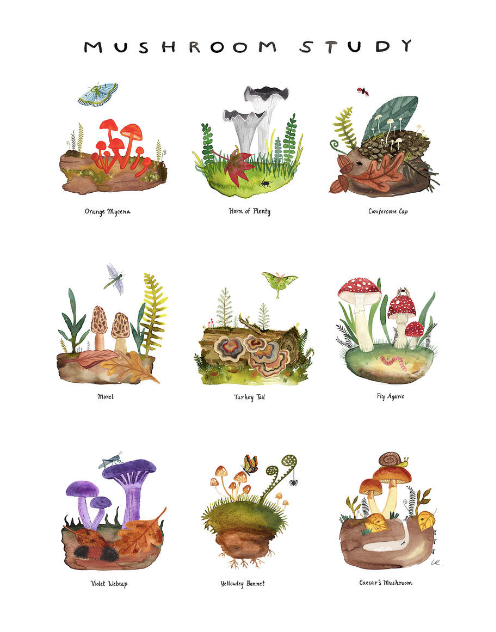 Mushroom Study Print