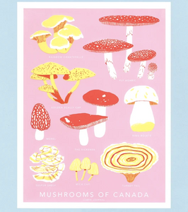 Mushrooms of Canada Print