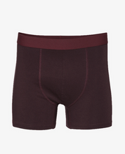 Load image into Gallery viewer, Organic Boxer Brief by Colorful Standard
