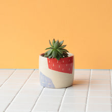 Load image into Gallery viewer, Ceramic Plant Pot
