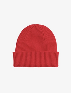 Merino Wool Beanie by Colorful Standard (20+ Colours)