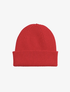 Merino Wool Beanie by Colorful Standard (12 Colours)