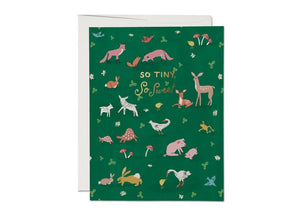 Baby Cards