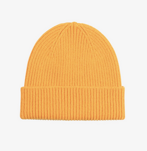 Merino Wool Beanie by Colorful Standard (12 Colours)